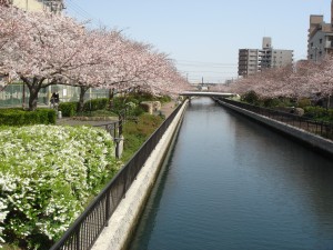 DSC01924
