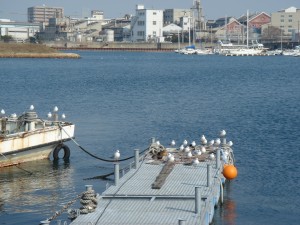 DSC03352